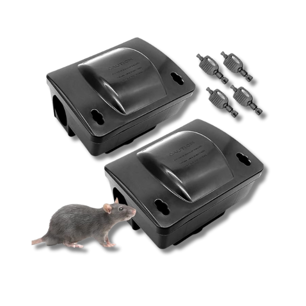 Mouse box with trap
