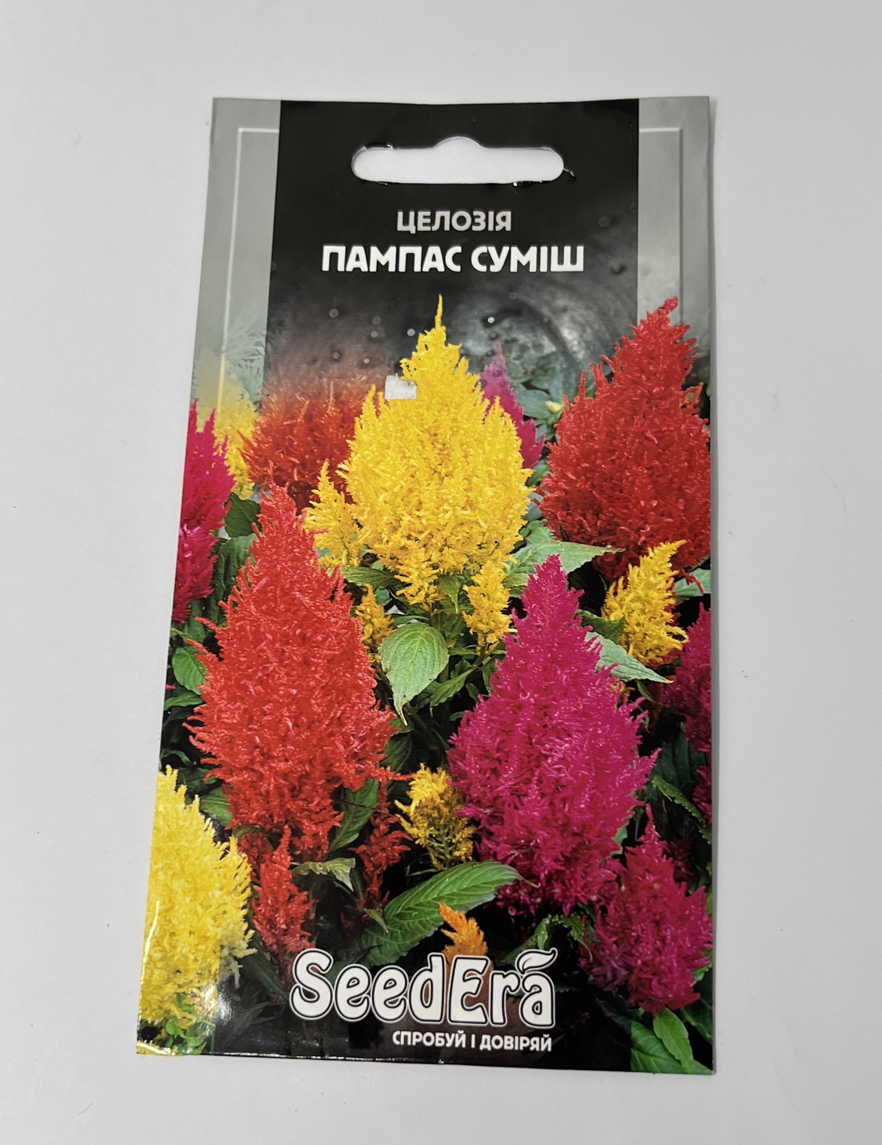 Celosia seeds "Pampas"