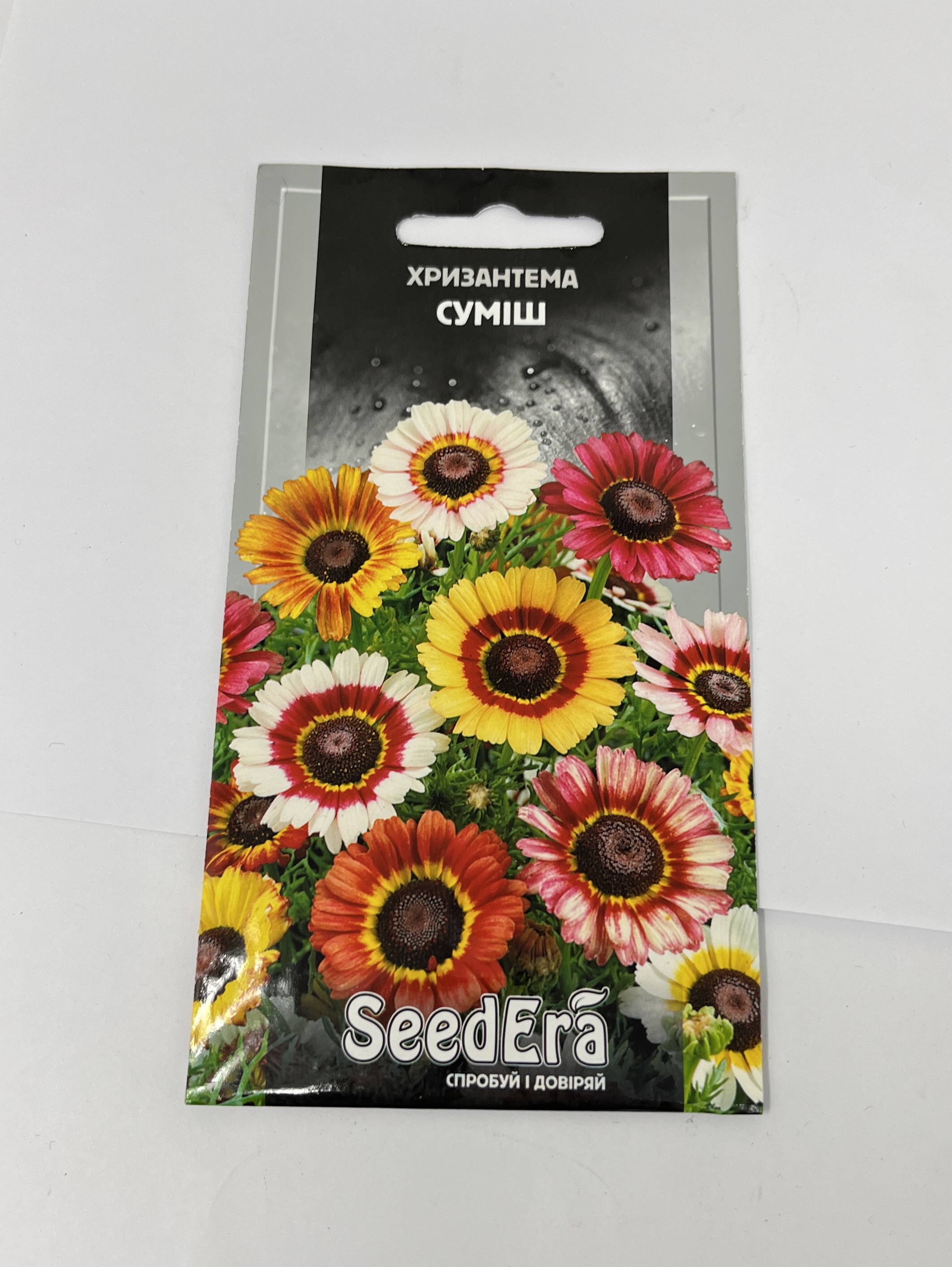 chrysanthemum seeds
