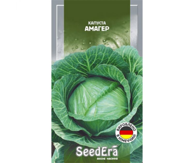 Cabbage seeds "Amager"