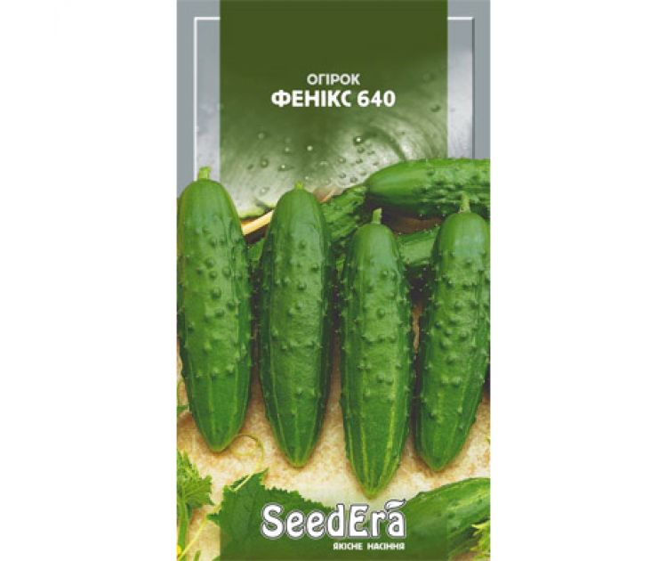 Cucumber seeds "Phoenix 640"