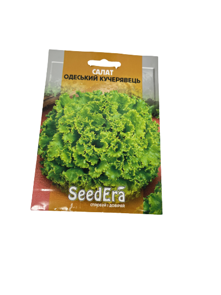 Lettuce seeds "Odeski Kucheriav"
